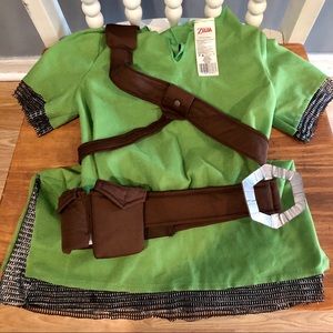 Link Costume (Zelda)
